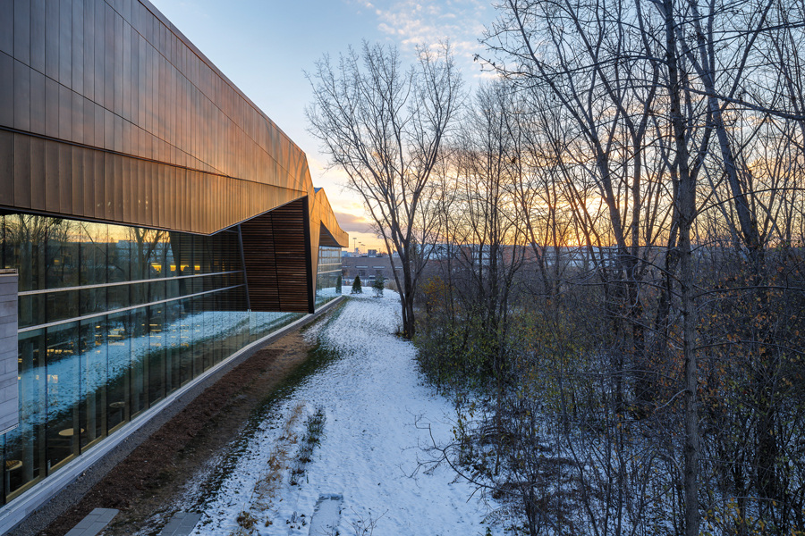 The northwest side of the library features a dramatic roofline facing a densely wooded park.