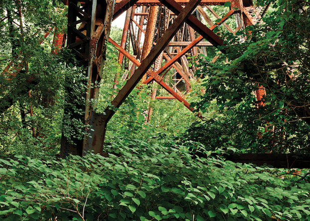 Book Review: An Enduring Wilderness—Toronto’s Natural Parklands