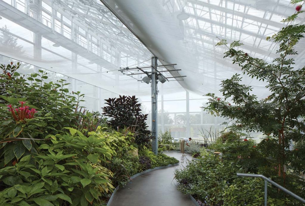 Museum Metamorphosis: Montreal Insectarium, Montreal, Quebec