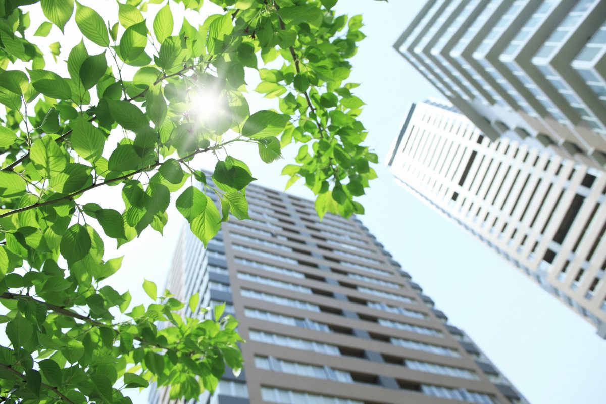 No impact to Toronto’s green standard under new Ontario law, city staff says
