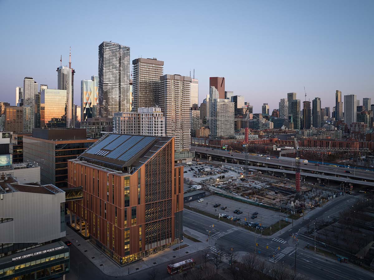 Building a Culture of Tall Timber