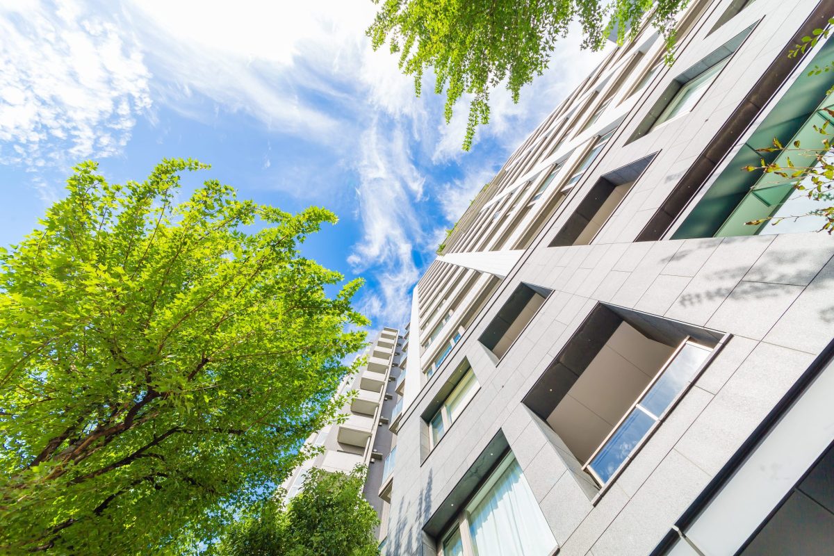 Trees and greenery can cool cities by as much as 18°C – but only if they’re the right type