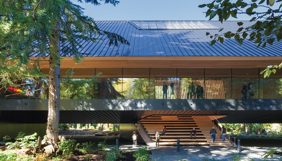 Stairs descending from the lobby form a seating area and secondary entrance. Photo: James Dow / Patkau Architects.