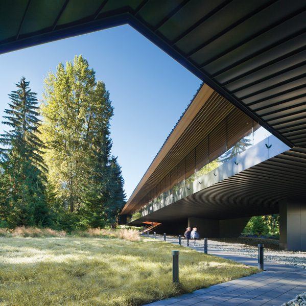 The museum’s linear form bends to fit within an irregular clearing in the trees. Photo: James Dow / Patkau Architects.