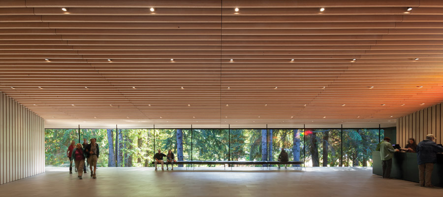 The lobby offers a sweeping view of the surrounding trees. Photo: James Dow / Patkau Architects.